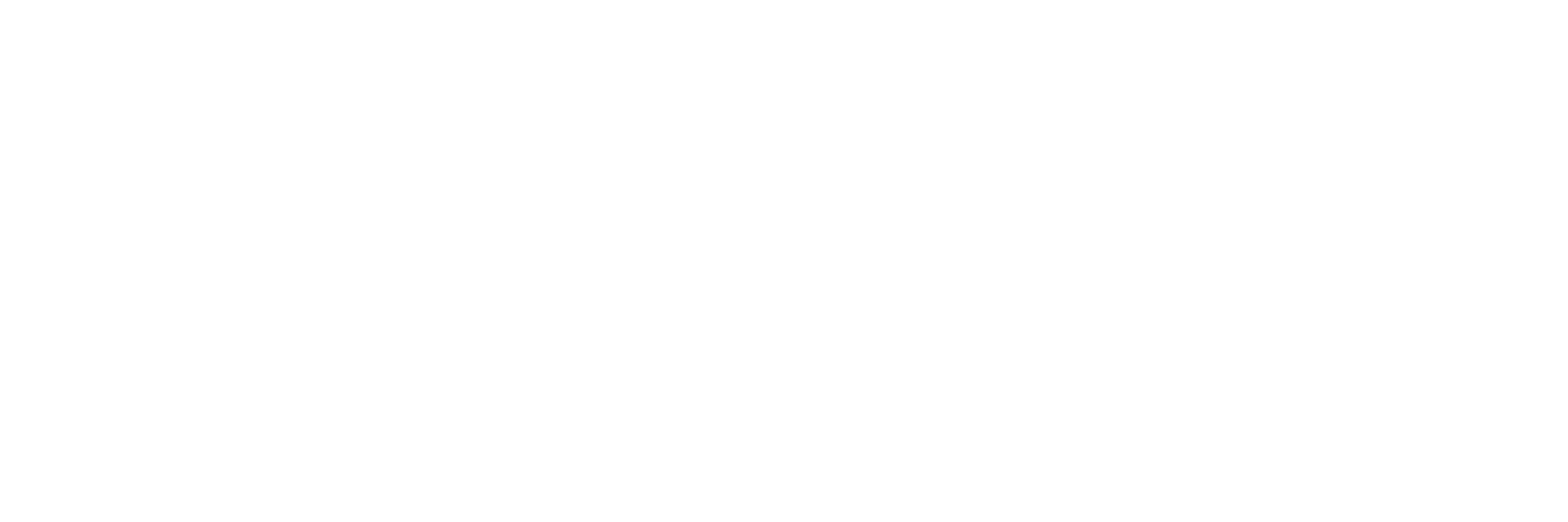 Make-A-Wish Central and Western North Carolina Logo